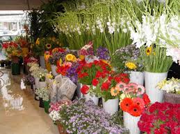 бизнес-план магазина цветов